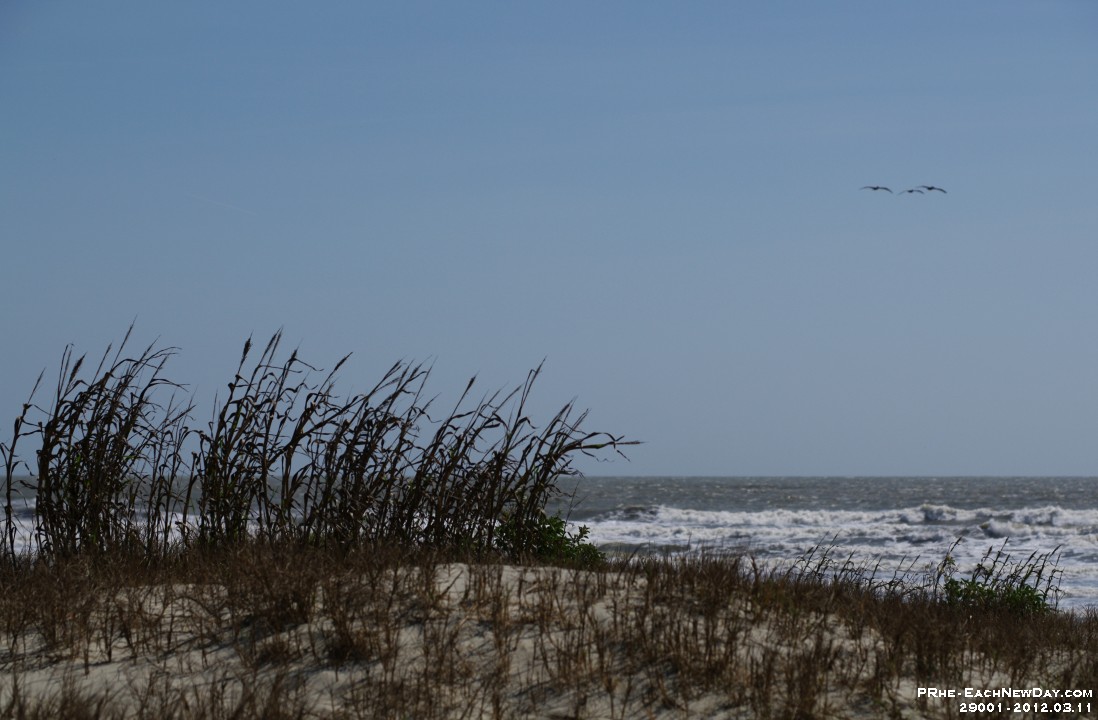 29001RoCrLe - Vacation at Kiawah Island, SC - Beach walk